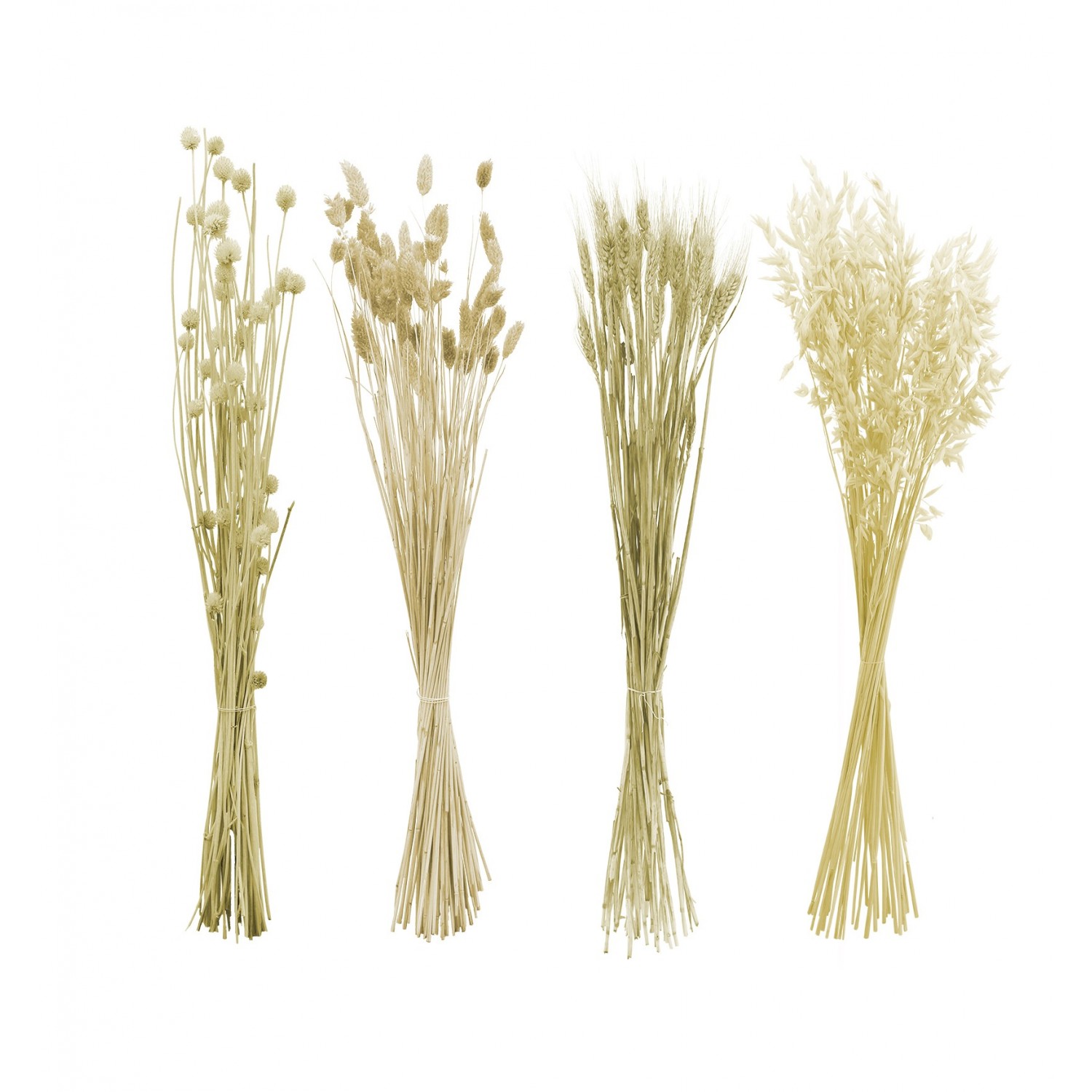 Lot de 4 fagots d'herbes séchées crèmes 70cm Lot de 4 fagots d'herbes séchées crèmes 70cm