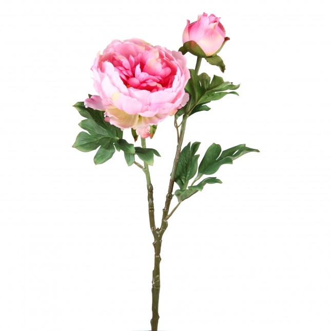 3 branches pivoines...