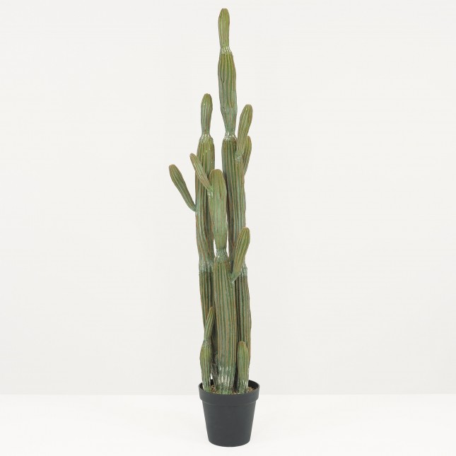 Plante Verte Artificielle Faux Cactus Réaliste en Pot, H.150cm | CACTU