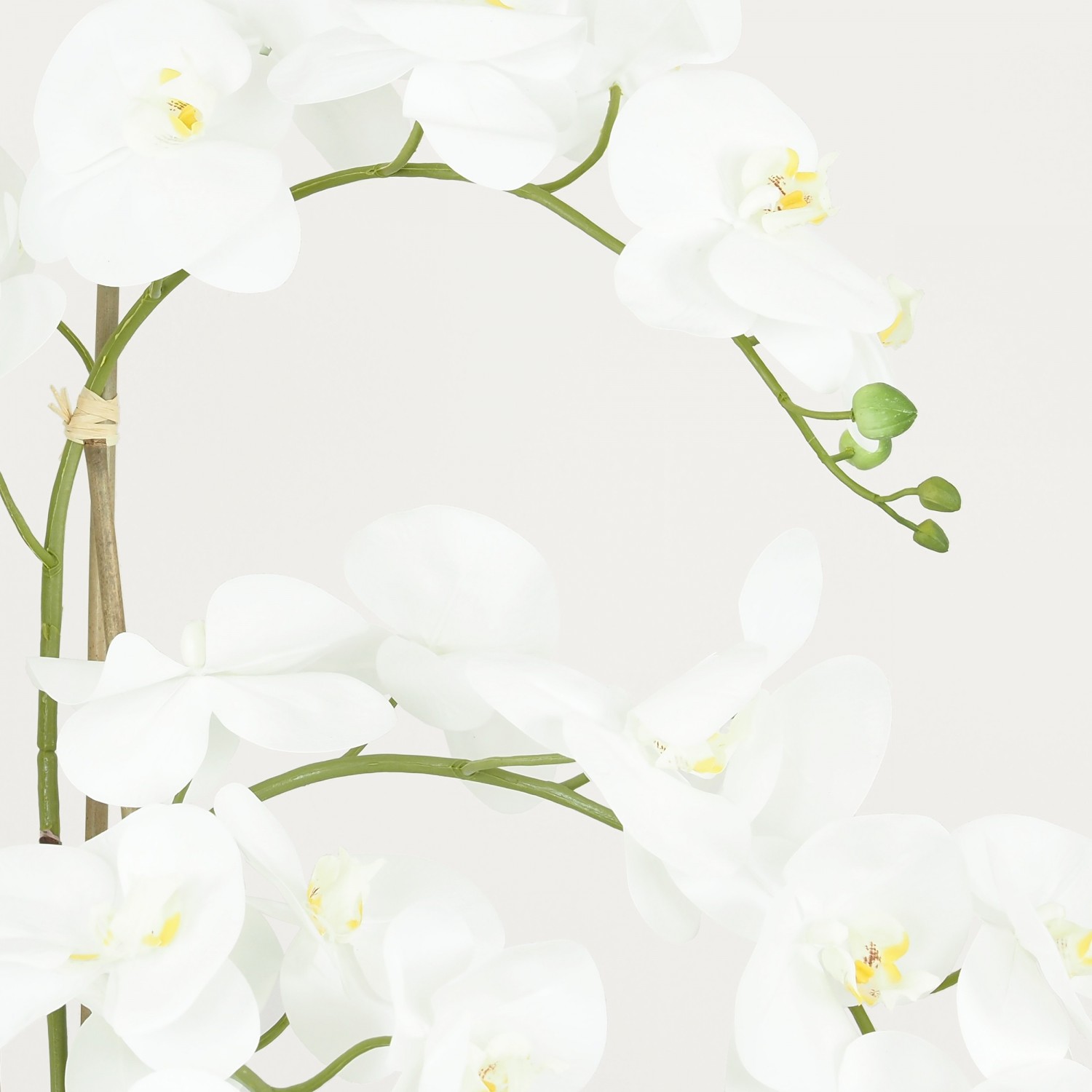 Orchidées artificielles blanches 135cm focus zoom