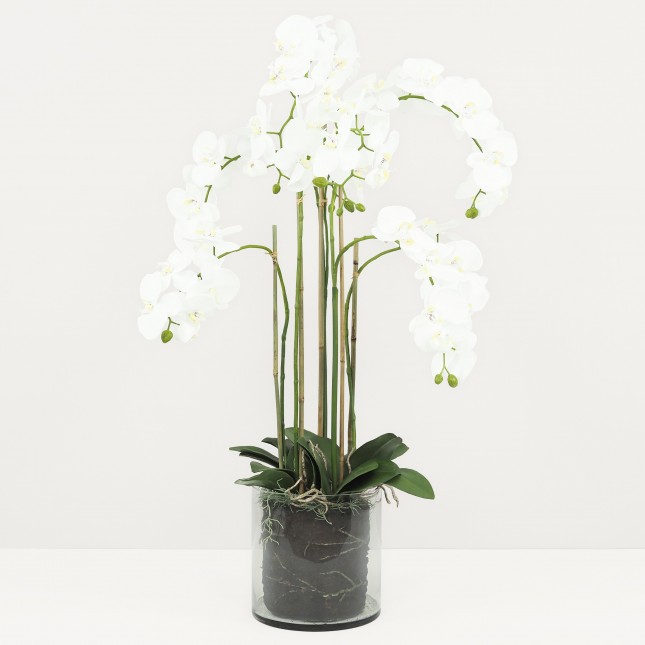 Plante Fleur Artificielle Orchidée Toucher Naturel, Pot Verre, H.125cm | OLYMPE