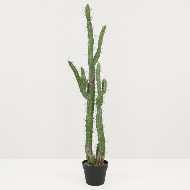 Plante Verte Artificielle Faux Cactus Réaliste en Pot, H.120cm | CHILALI