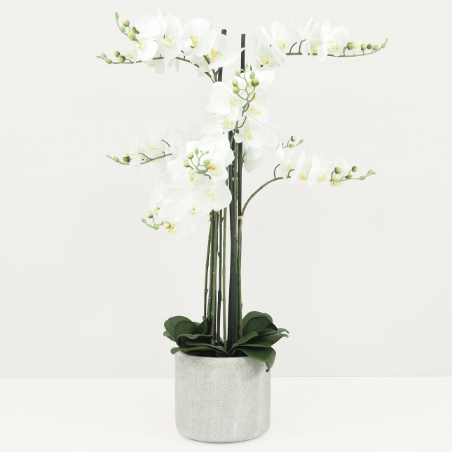 Plante Fleur Artificielle Orchidée Toucher Naturel, Pot Ciment, H.105cm | INDIRA