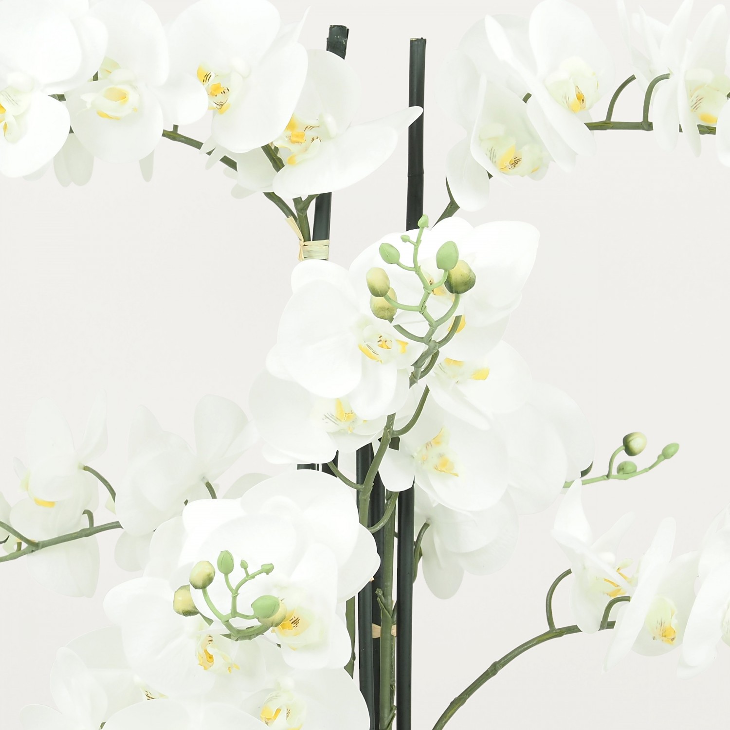 Orchidées artificielles pot en ciment 105cm focus zoom