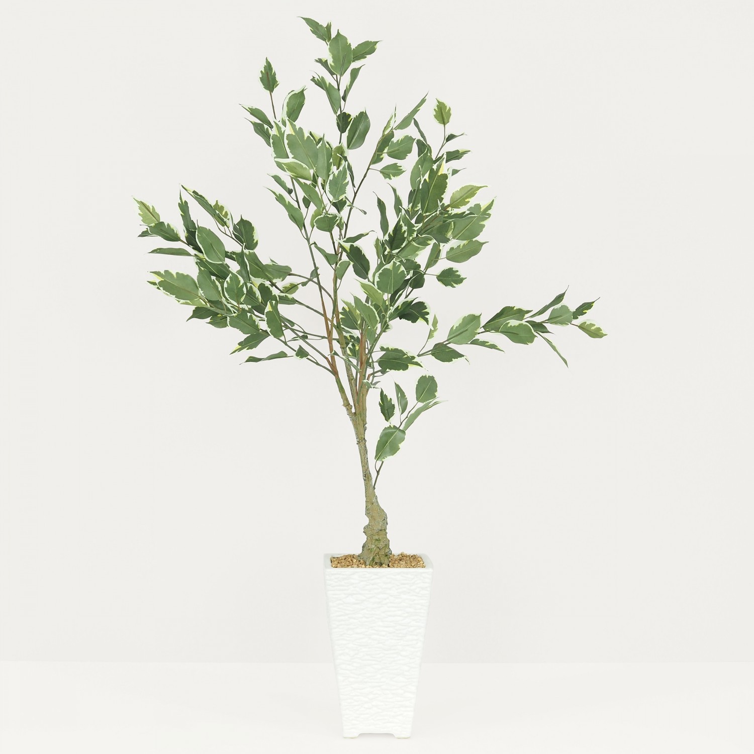 Ficus artificiel panaché 100cm sur fond gris