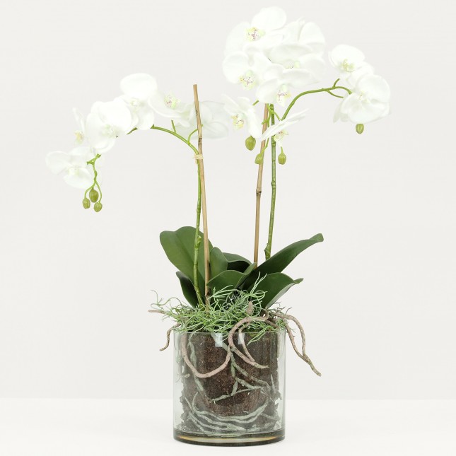 Orchidée Artificielle Toucher Naturel, Pot Verre, H.65cm, Blanc - LEELA