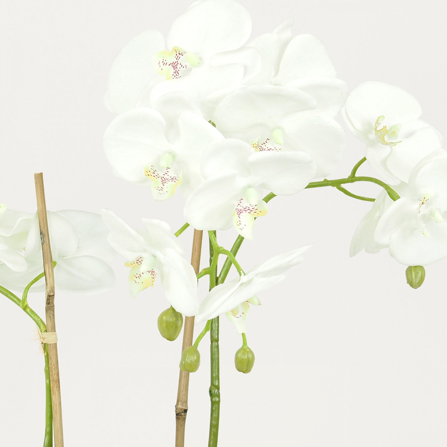 Orchidées artificielles toucher naturel 65cm focus zoom