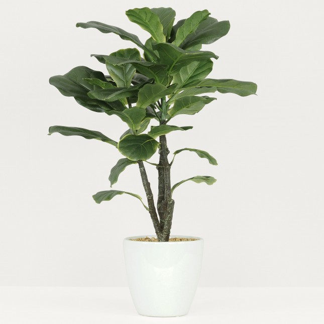 Plante Verte Artificielle Ficus Lyrata, Pot Céramique, H.65cm | NITTAYA