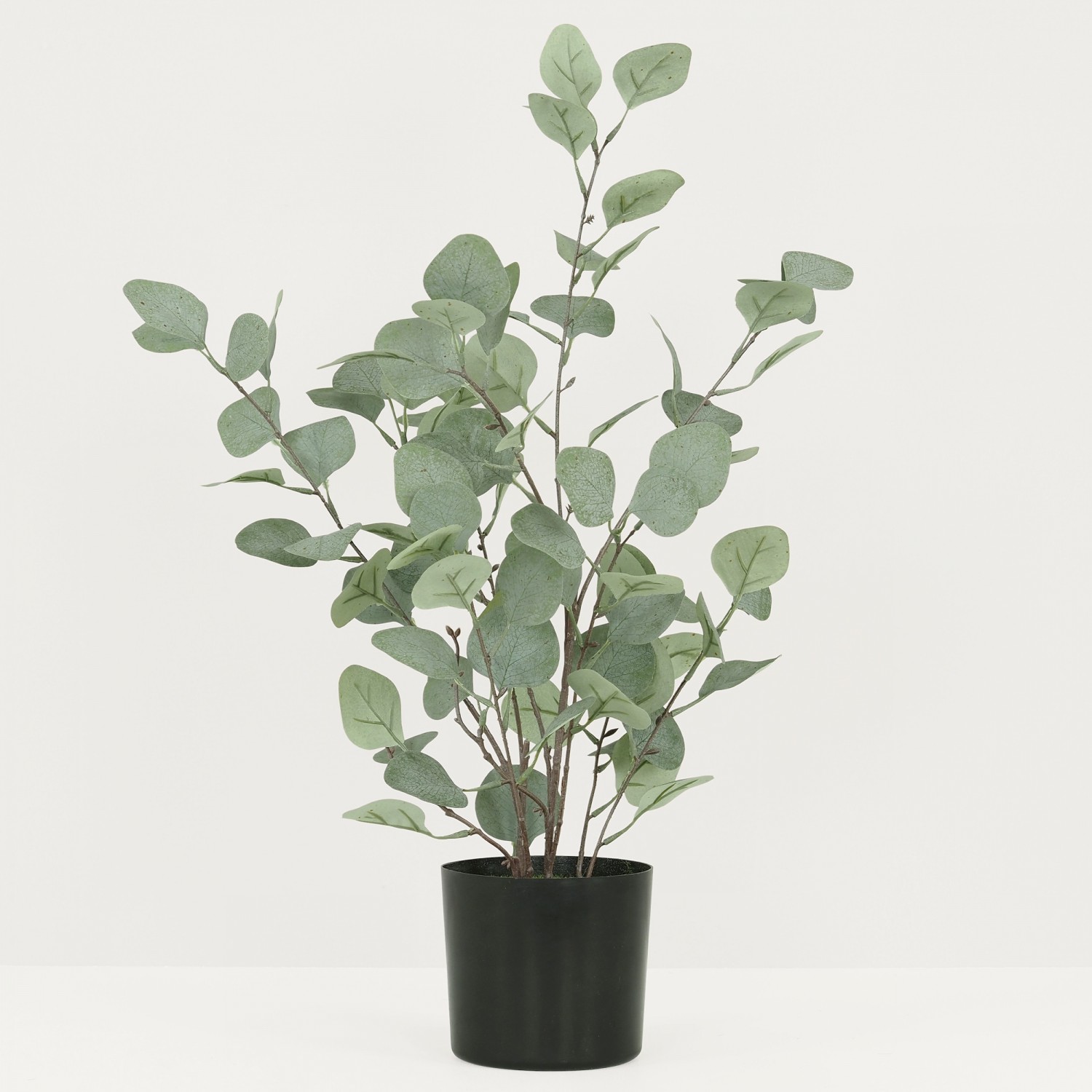 Eucalyptus artificiel effet blanchi 60cm sur fond gris