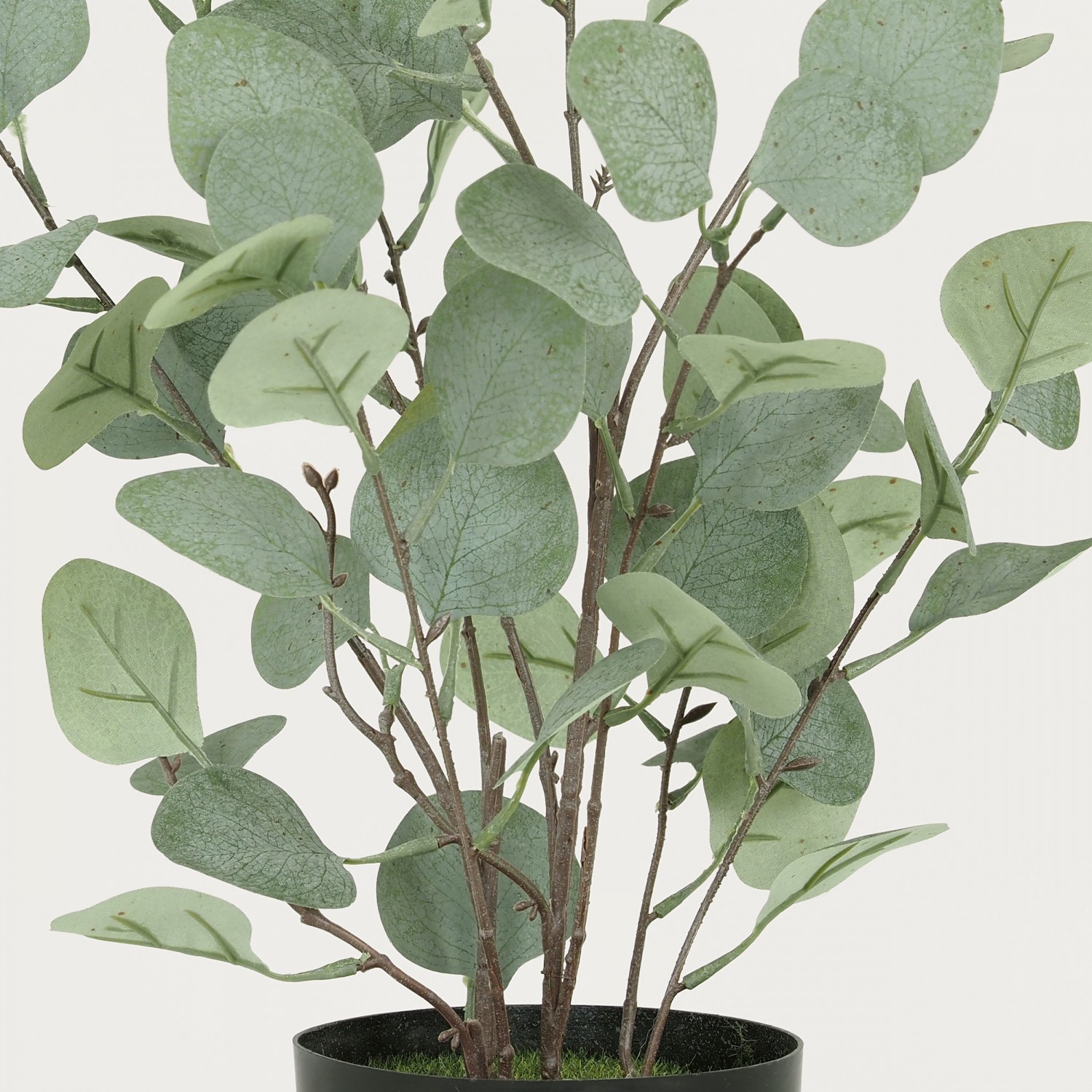 Eucalyptus artificiel effet blanchi 60cm focus zoom