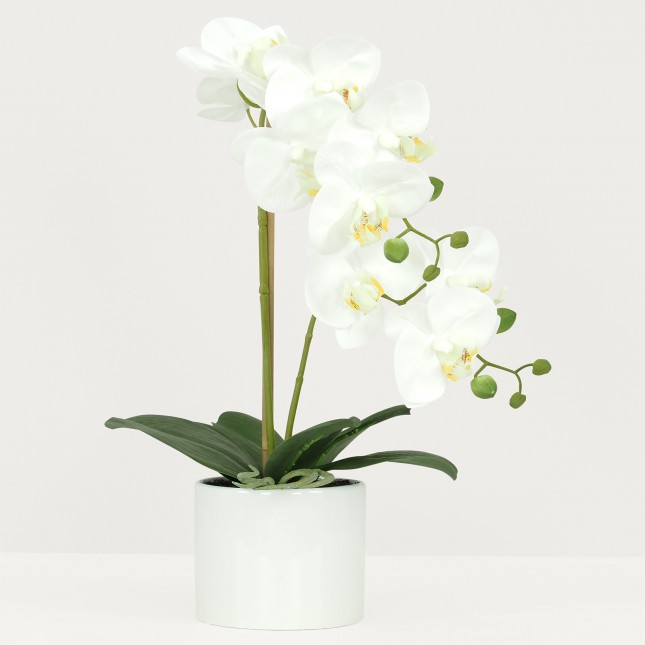 Orchidées artificielles blanches 55cm sur fond gris