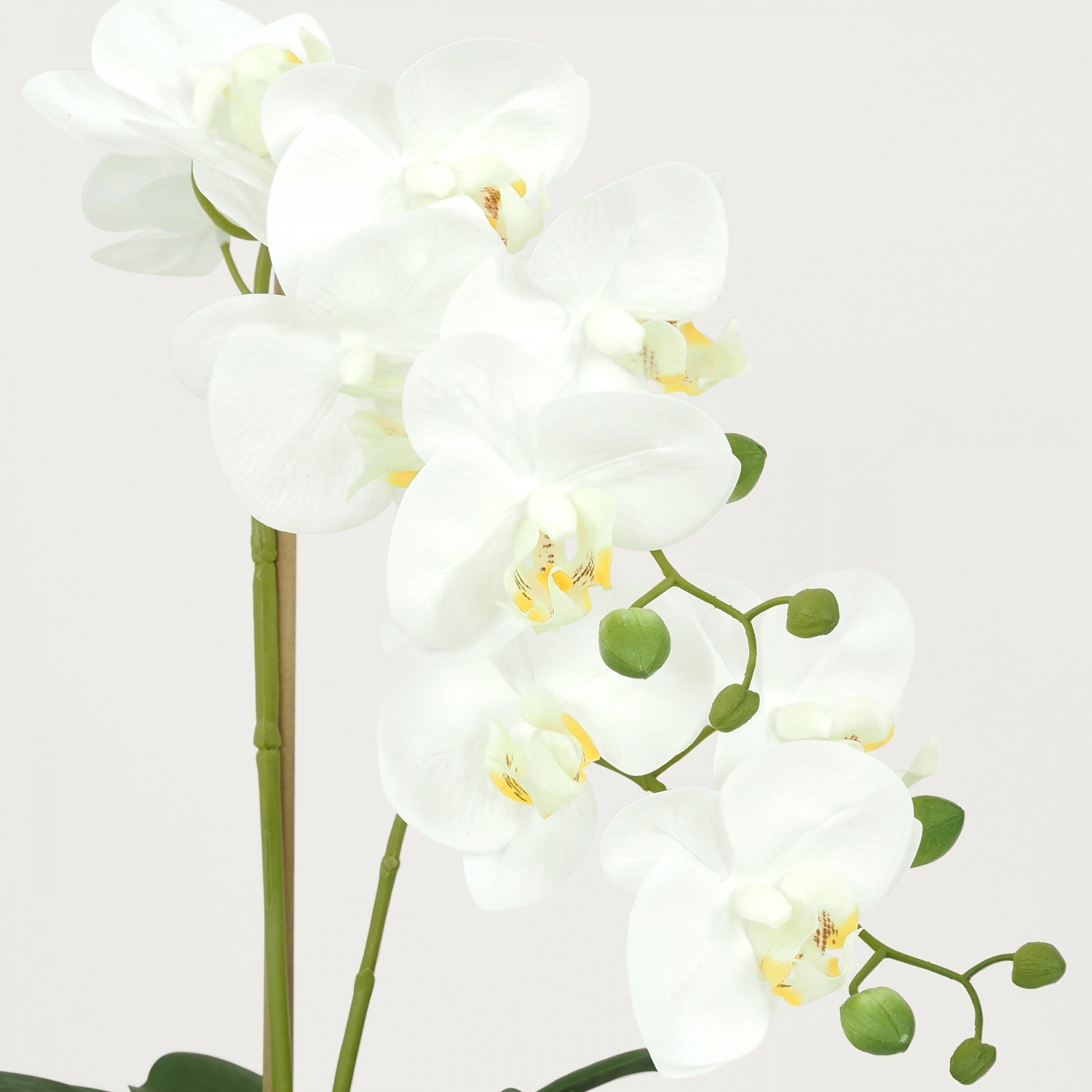 Plante Fleur Artificielle Orchidée Toucher Naturel, Pot Céramique, H.55cm | HAIVY