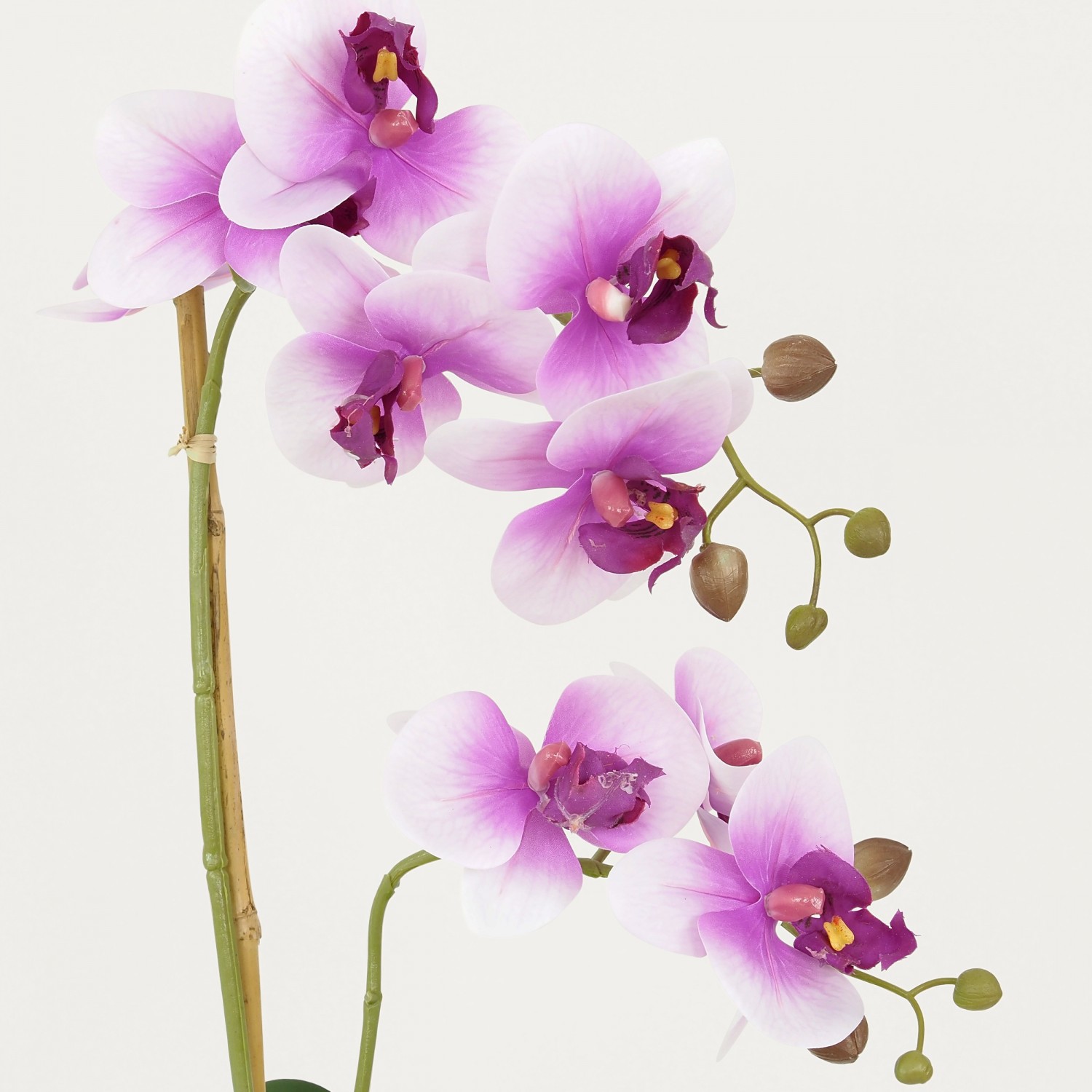 Orchidées artificielles fuchsia 55cm focus zoom