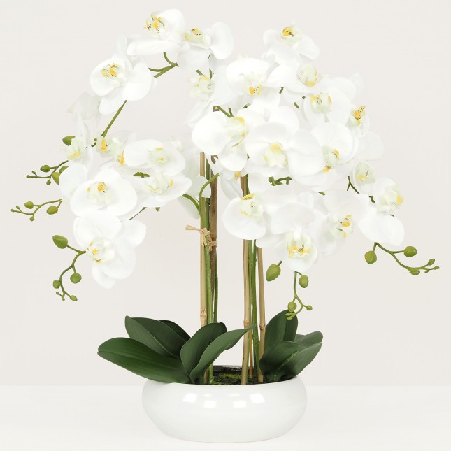 Plante Fleur Artificielle Orchidée Toucher Naturel, Coupe Céramique, H.55cm | CAMELIA