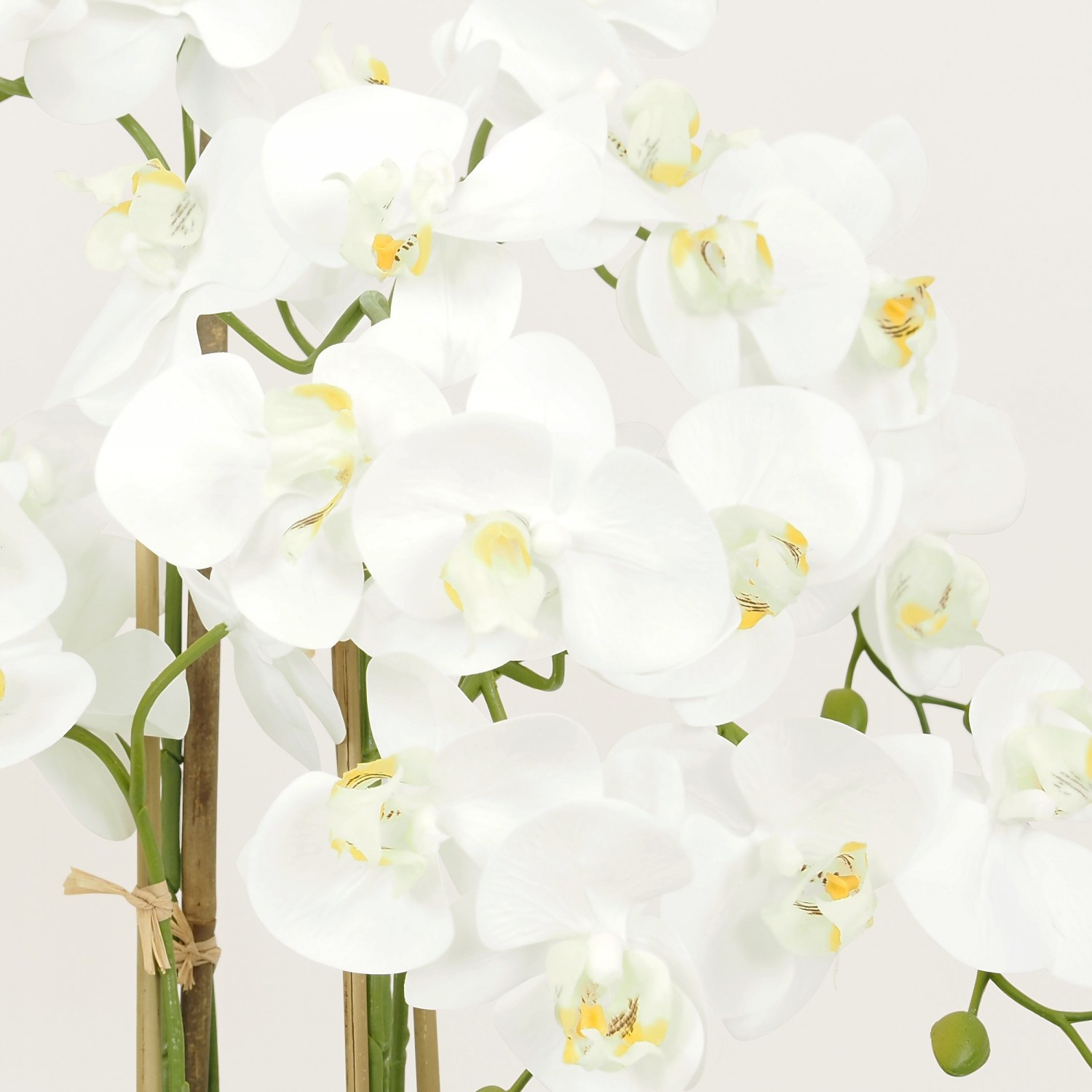 Orchidées artificielles blanche 55cm focus zoom