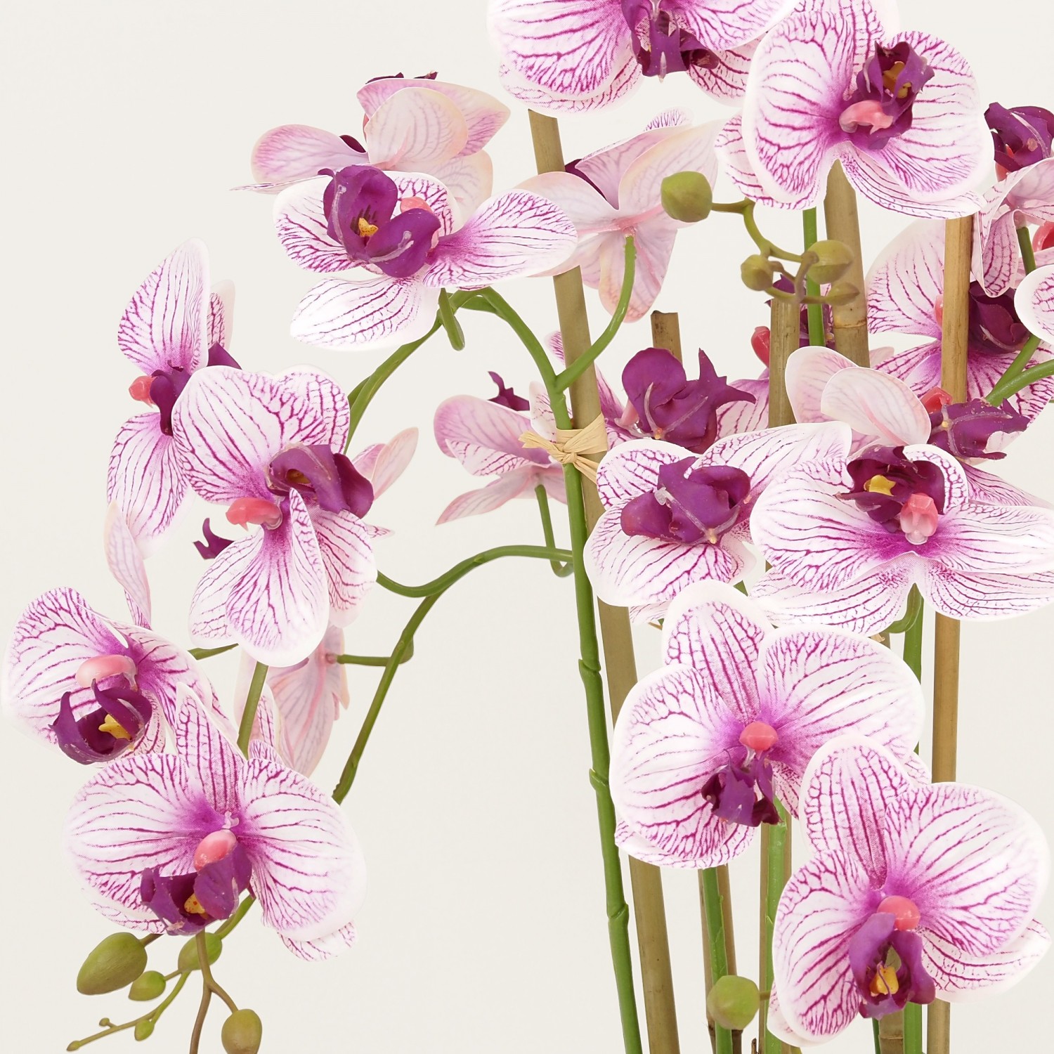 Orchidées artificielles blanches fuchsias 55cm focus zoom