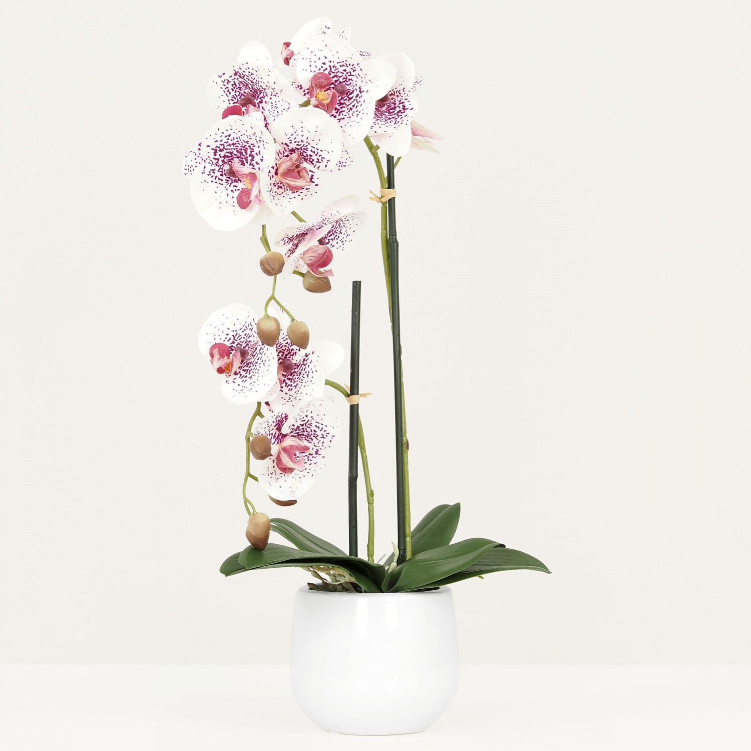 Orchidées artificielles blanc-rose 50cm sur fond gris