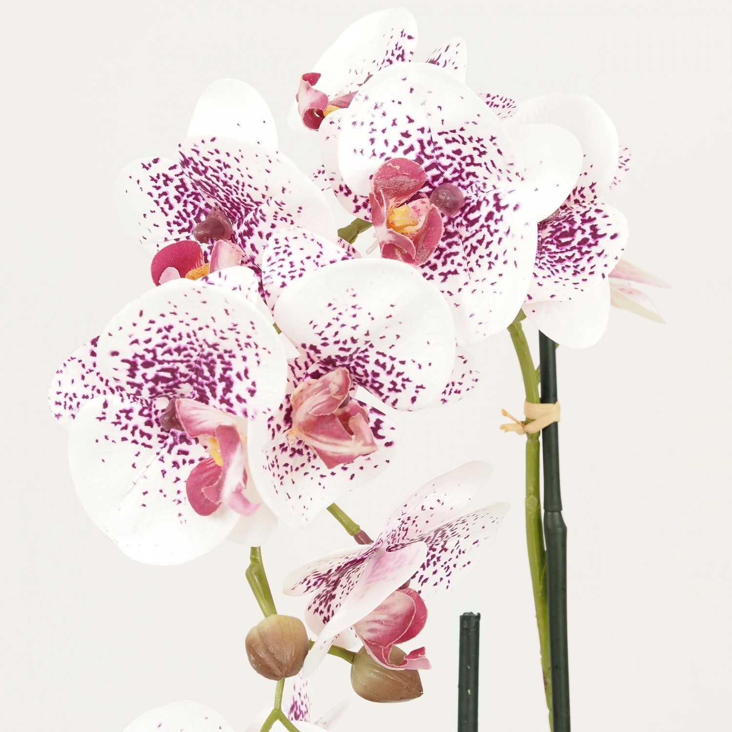 Orchidées artificielles blanc-rose 50cm focus zoom