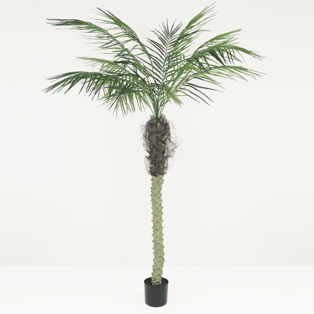 Palmier artificiel areca 180cm sur fond gris
