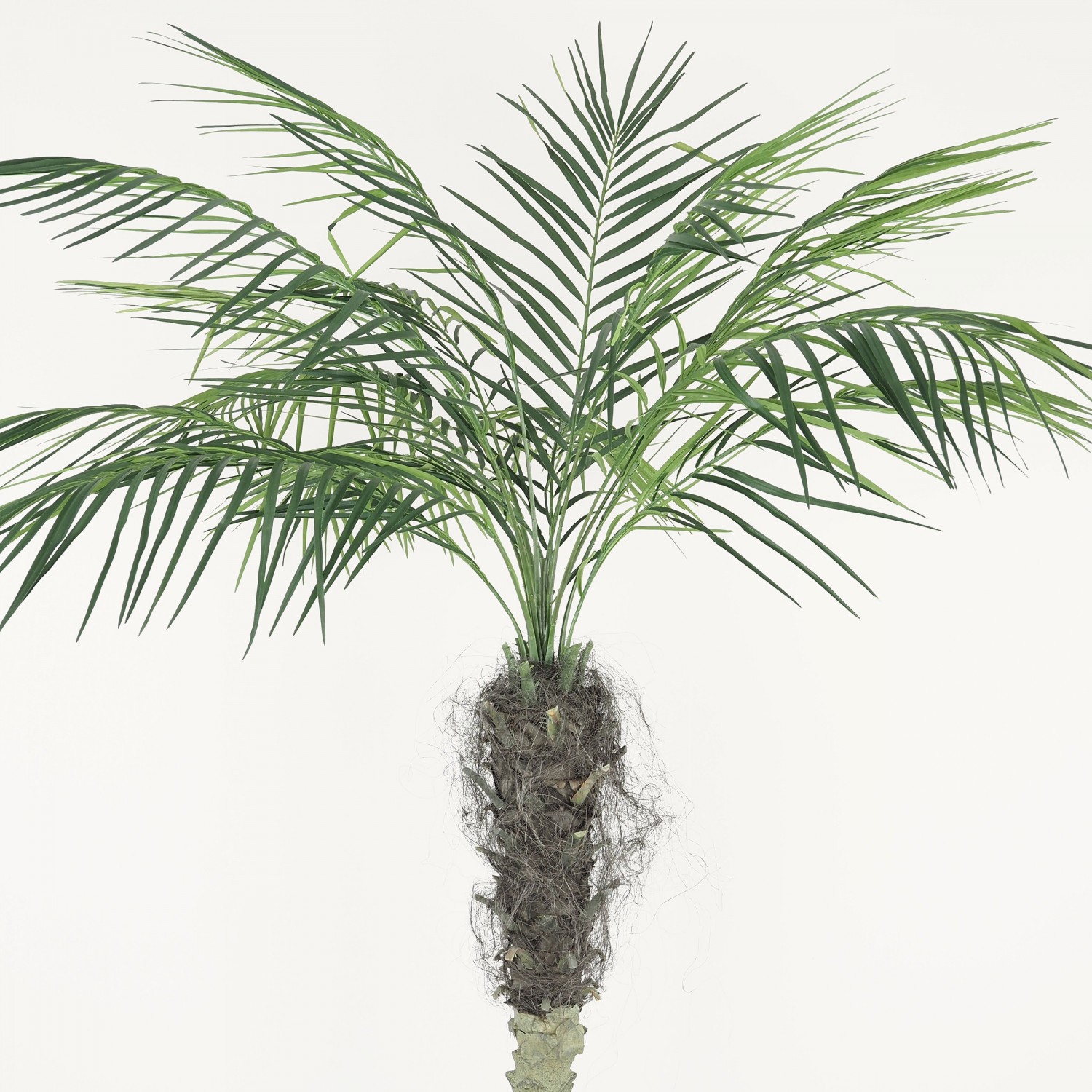Arbre Artificiel Palmier Areca en Pot, H.180cm | TENDAJI