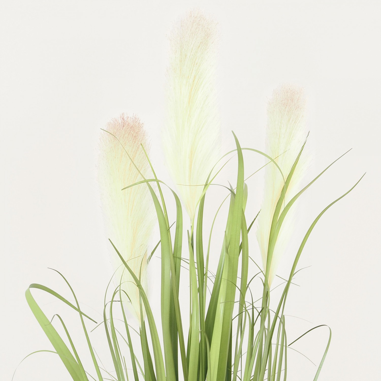 Plante Verte Herbe Artificielle Plumeaux Blancs, Pot Corde, H.80cm | NAVEEN