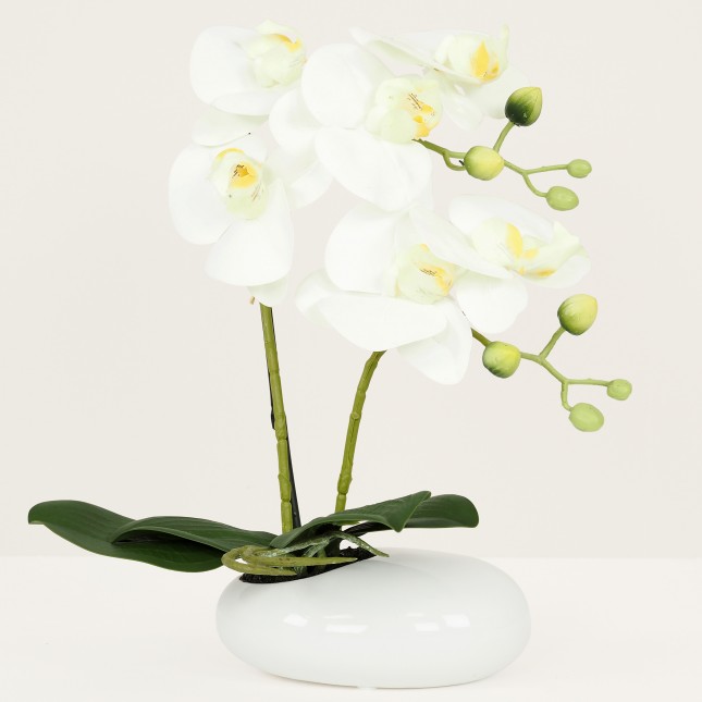 Orchidées artificielles blanches 35cm sur fond gris