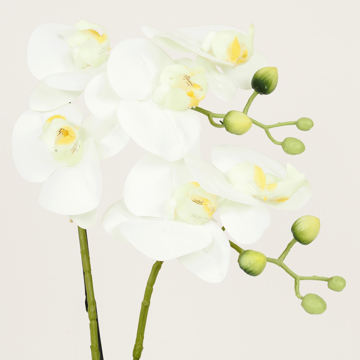 Plante Fleur Artificielle Orchidée Toucher Naturel, Coupe Céramique, H.35cm | KATHALENA
