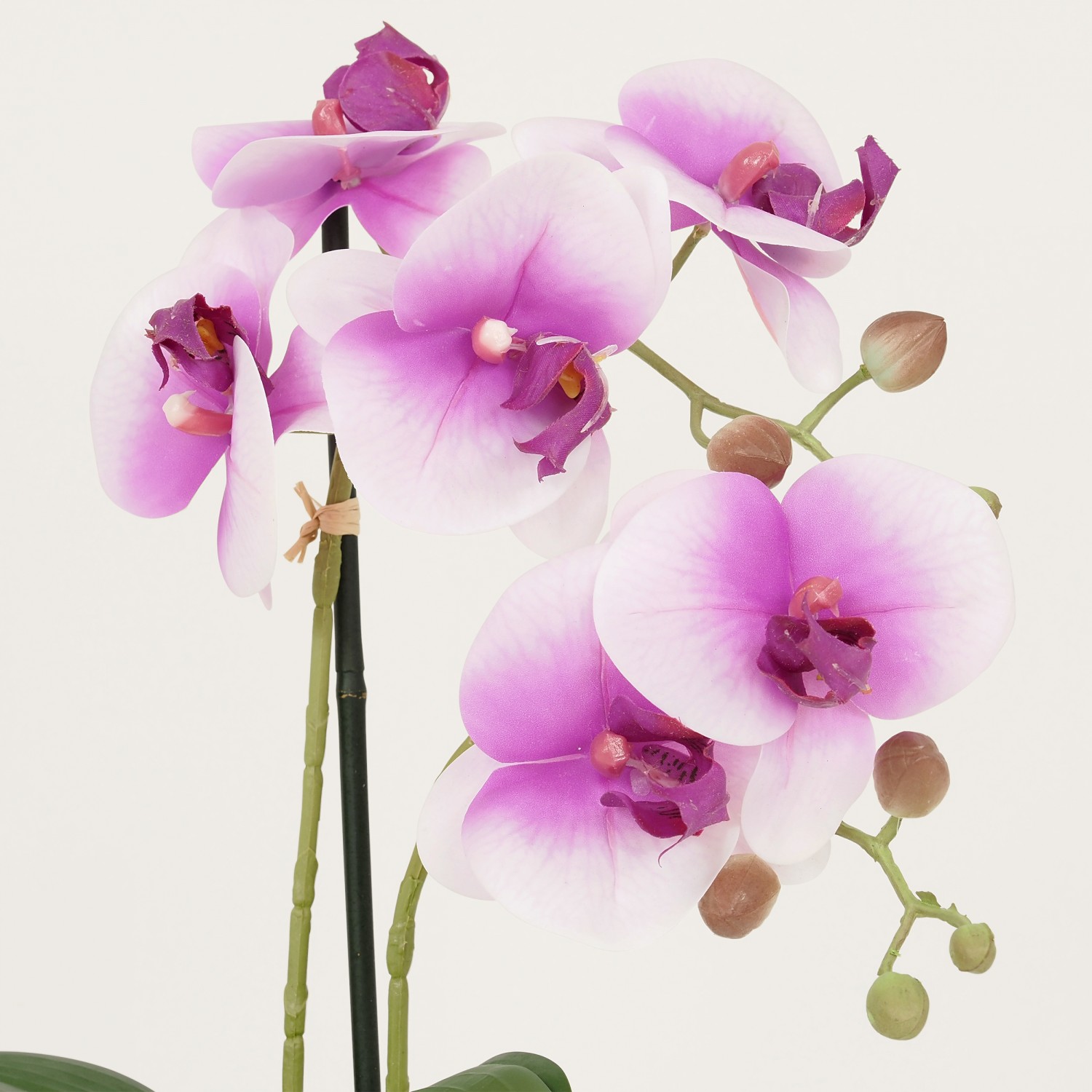 Orchidées artificielles blanc fuchsia 35cm focus zoom
