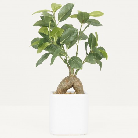 Arbre Artificiel Bonsaï Plante Verte Ficus, Pot Céramique, H.30cm | BOONMA