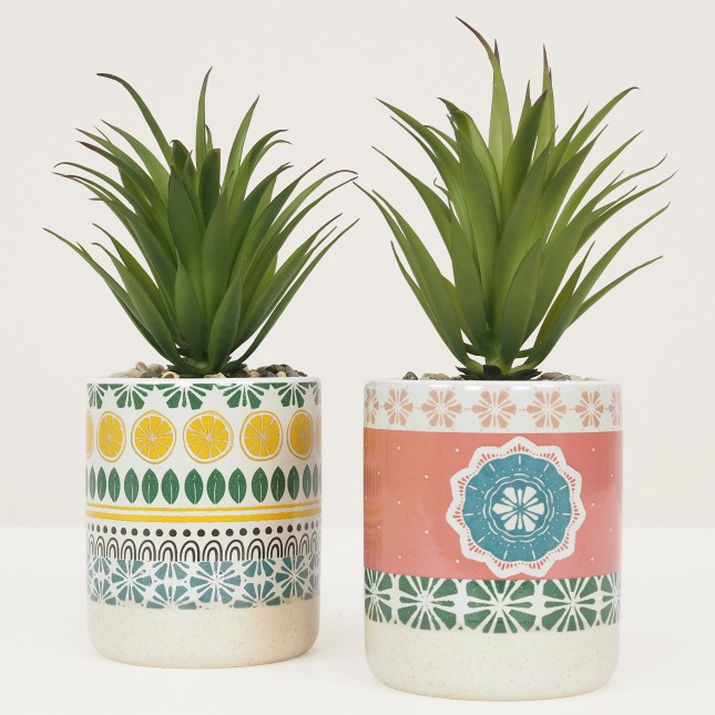 Succulentes artificielle lot de 2 20cm sur fond gris