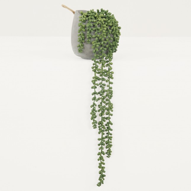 Plante succulente retombante artificielle sur fond gris clair