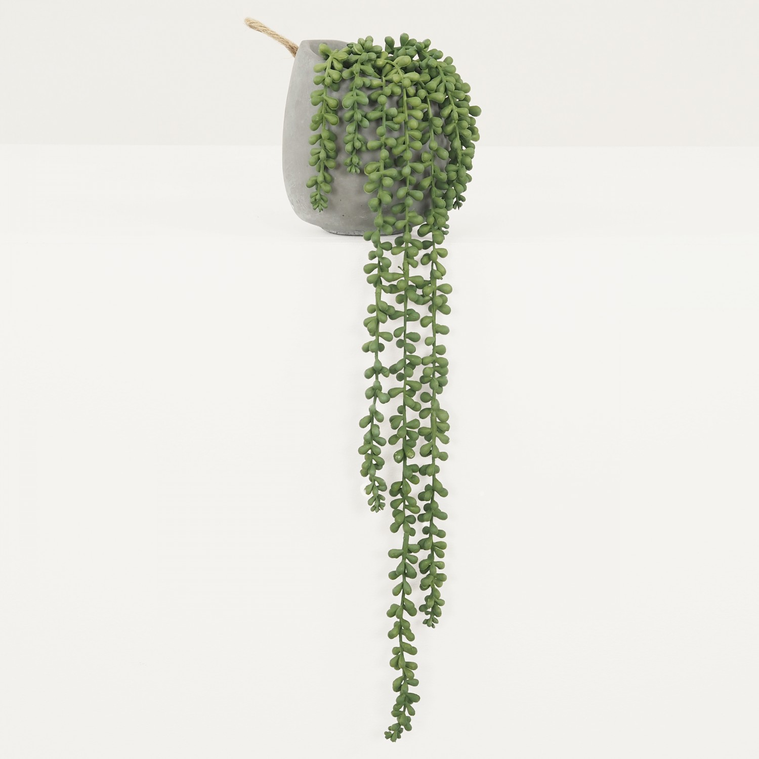 Plante succulente retombante artificielle sur fond gris clair