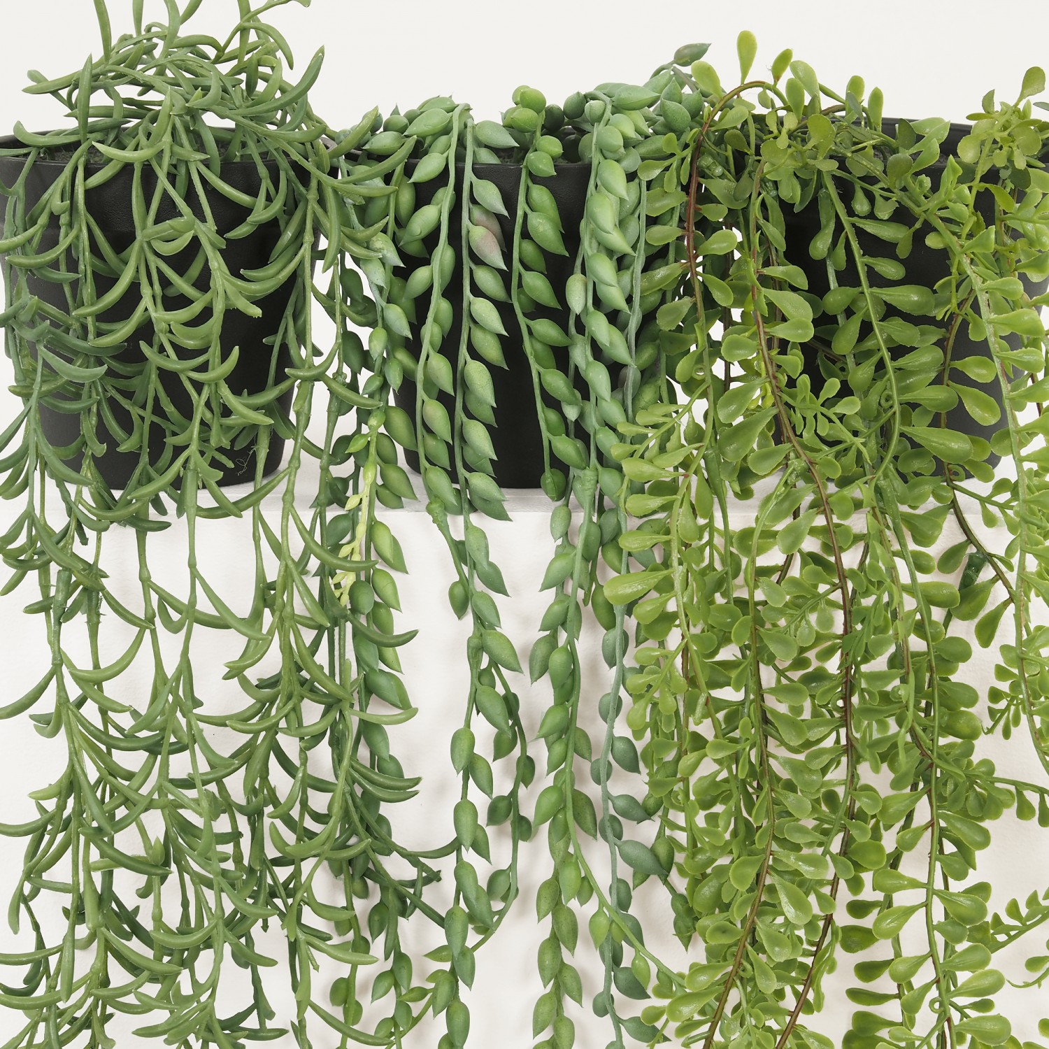 Lot de 3 Succulentes Retombantes Artificielles, H.60cm, Vert - SIRIAM
