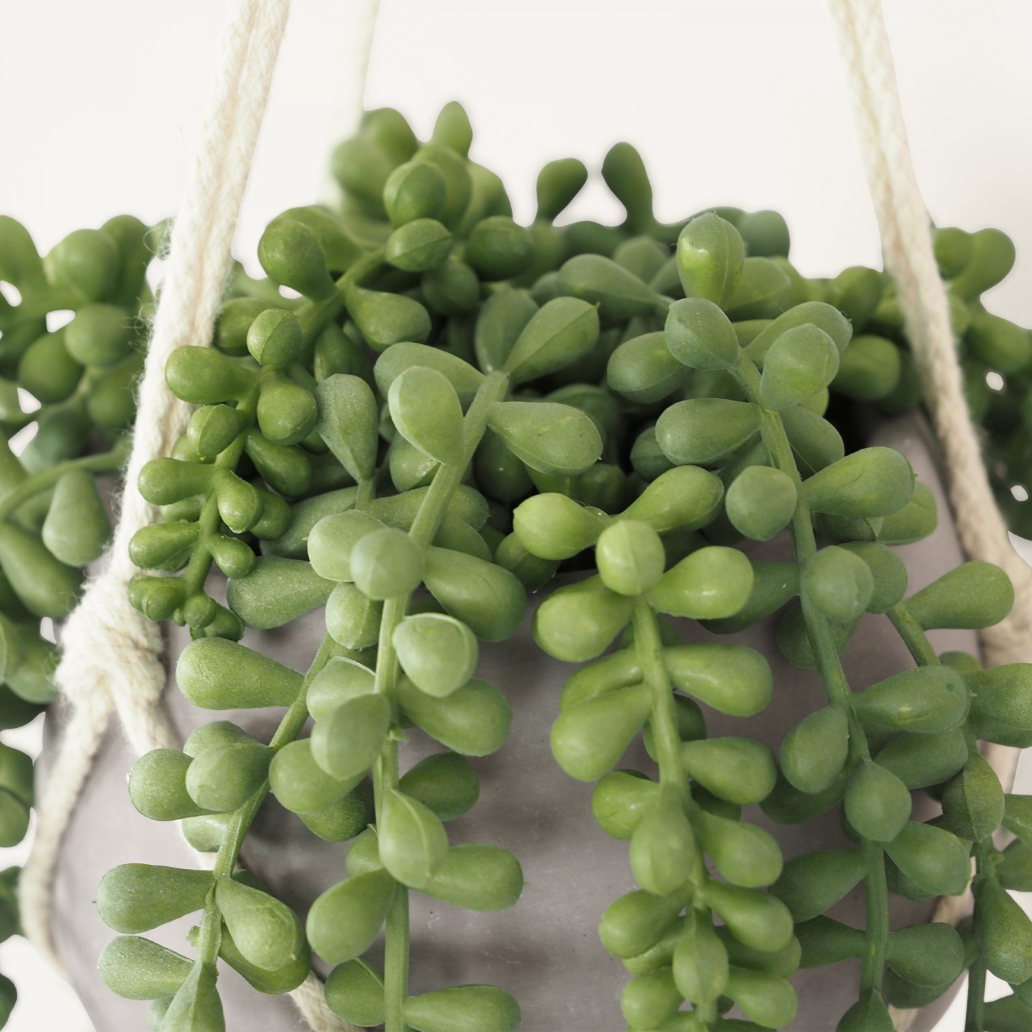 Plante Verte Artificielle Succulente Retombante Suspendue, Pot Ciment, H.70cm | NAVANI