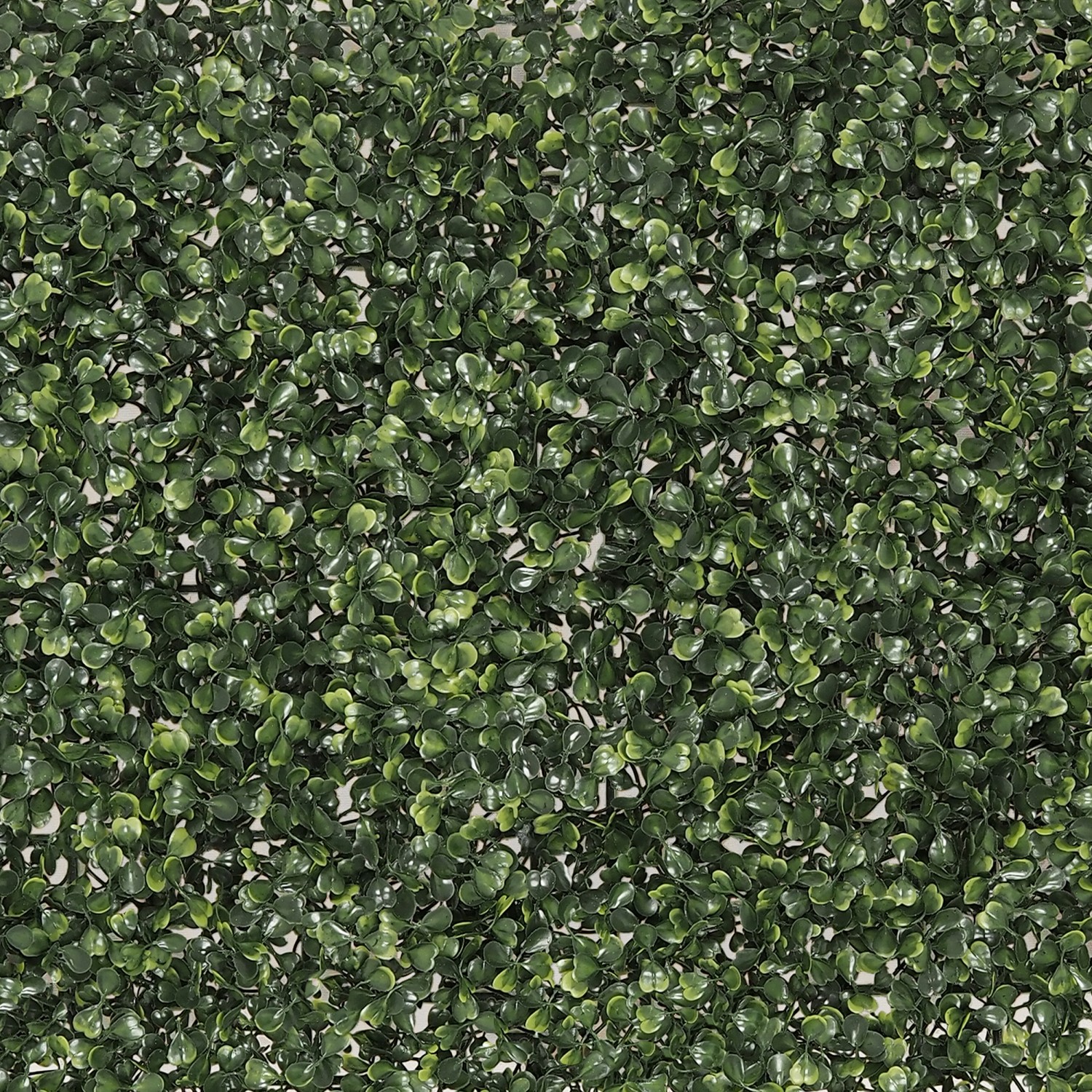 Mur Végétal Artificiel Faux Buis Vert, H.40cm | NISSA