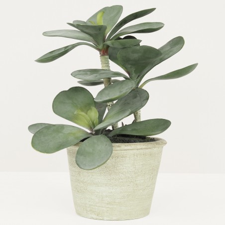 Plante Verte Artificielle Succulente Arbre de Jade, Pot Ciment, H.30cm | BUSAYA