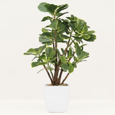 Plante Verte Artificielle Ficus Lyrata, Pot Céramique, H.55cm | NIRVELLI
