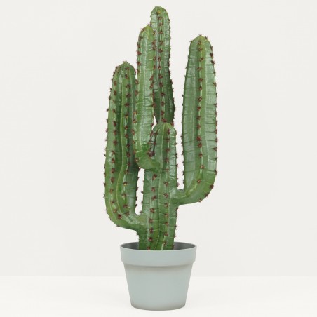 Plante Verte Artificielle Faux Cactus Réaliste en Pot, H.70cm | DEEPALI