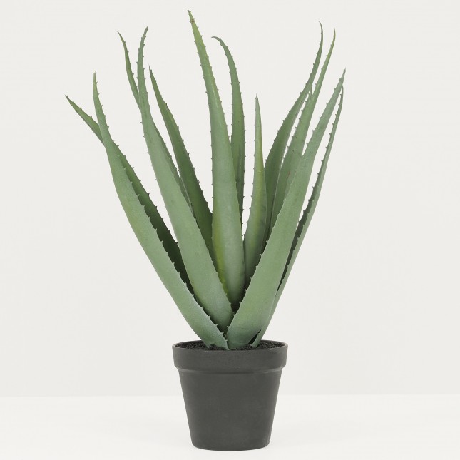 Plante Verte Artificielle Succulente Aloe Vera en Pot, H.45cm | ALPHEA