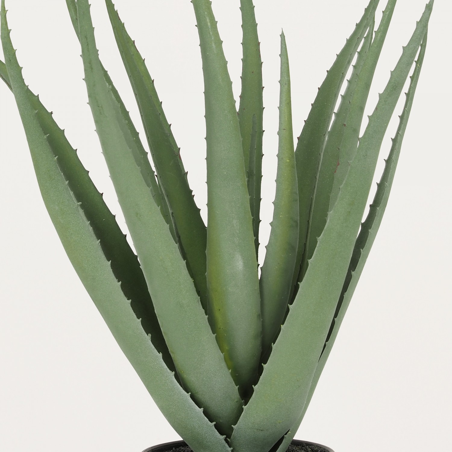 Aloe vera artificiel 45cm focus zoom