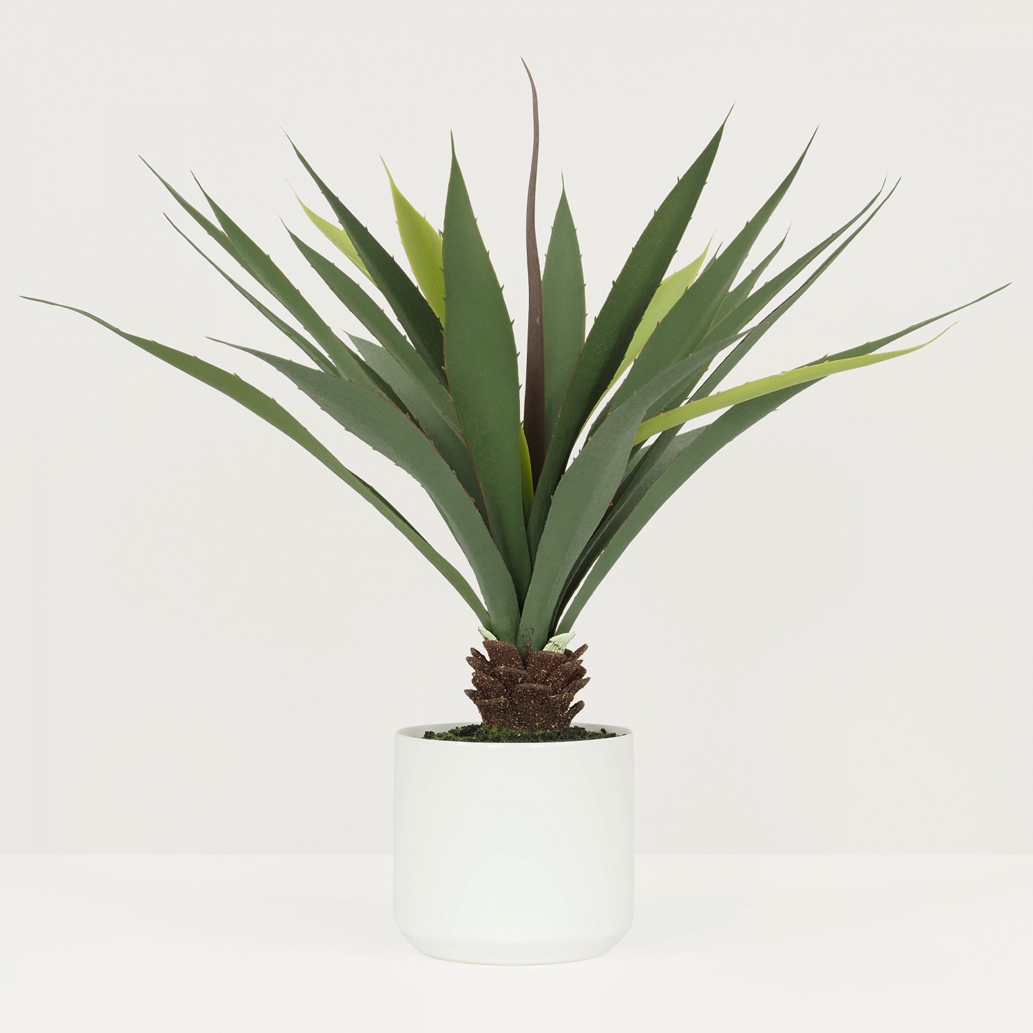 Plante Verte Artificielle Succulente Aloe Vera, Pot Céramique, H.55cm | ALOA Plante Verte Artificielle Succulente Aloe Vera, Pot Céramique, H.55cm | ALOA