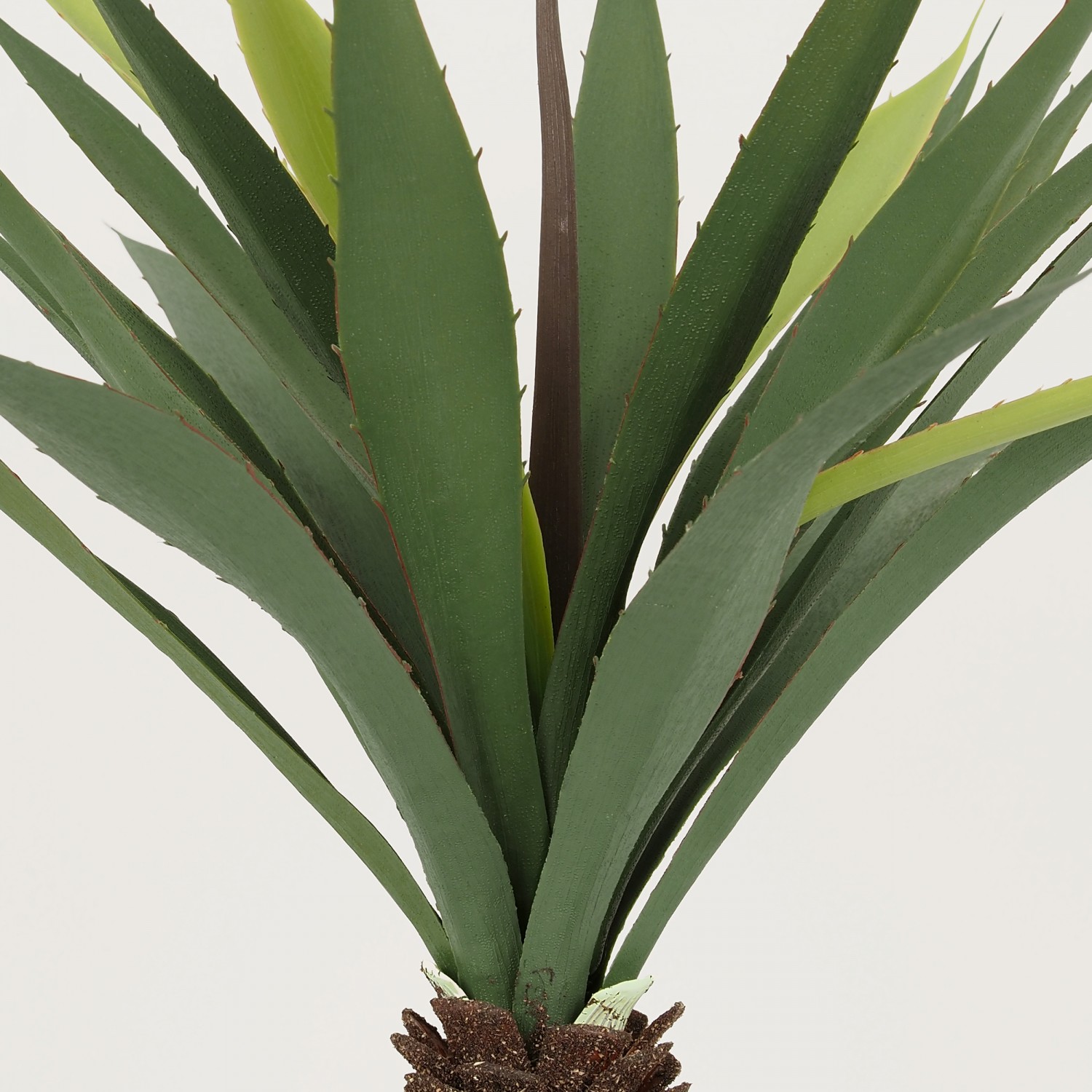 Plante Verte Artificielle Succulente Aloe Vera, Pot Céramique, H.55cm | ALOA