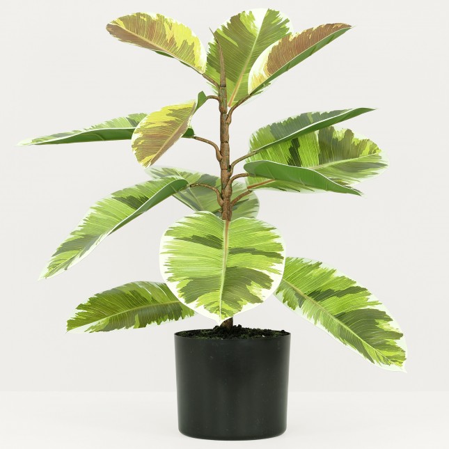 Plante verte artificielle caoutchouc 65 cm sur fond gris