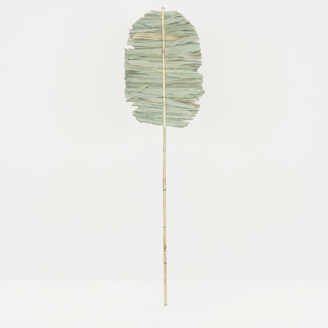 Palme Décorative, Feuilles de Palmier Indien, Naturel, H.100cm - MIA