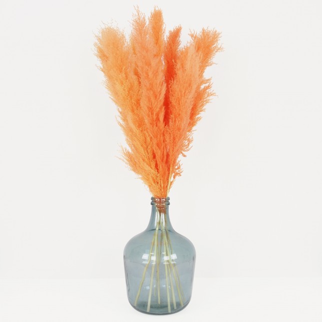 Plumeau plante pampa lot de 9 orange 110cm sur fond gris