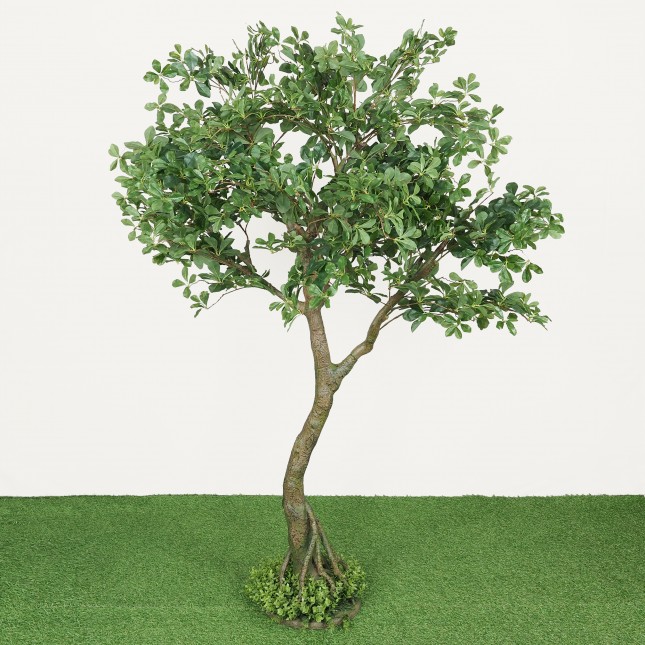 Schefflera luseana bonsaï  artificiel 190cm sur fond gris