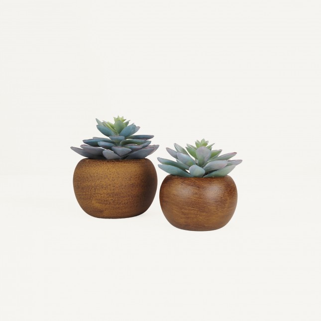 Succulente artificielle lot de 2 pot bois 15cm sur fond beige