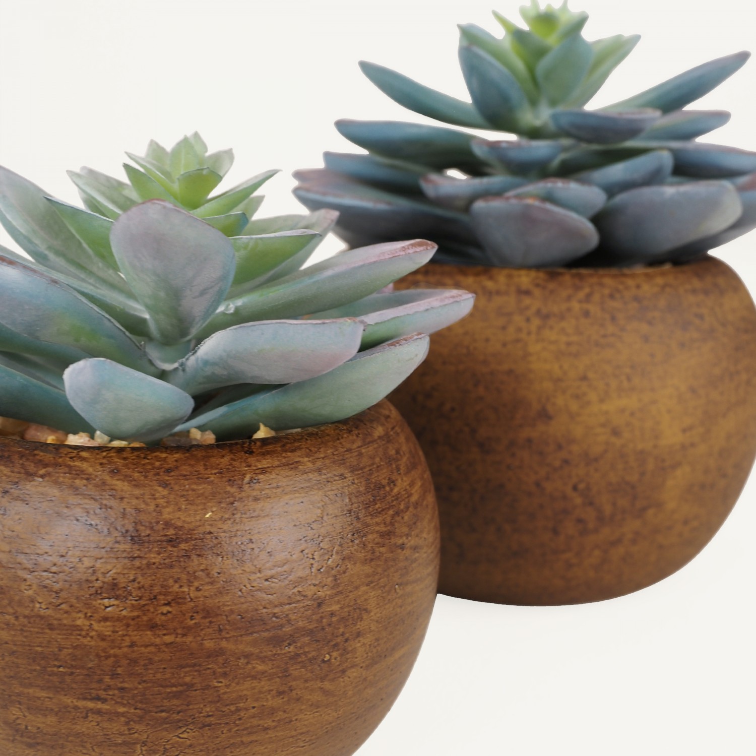 Succulente artificielle lot de 2 pot bois 15cm focus zoom produit