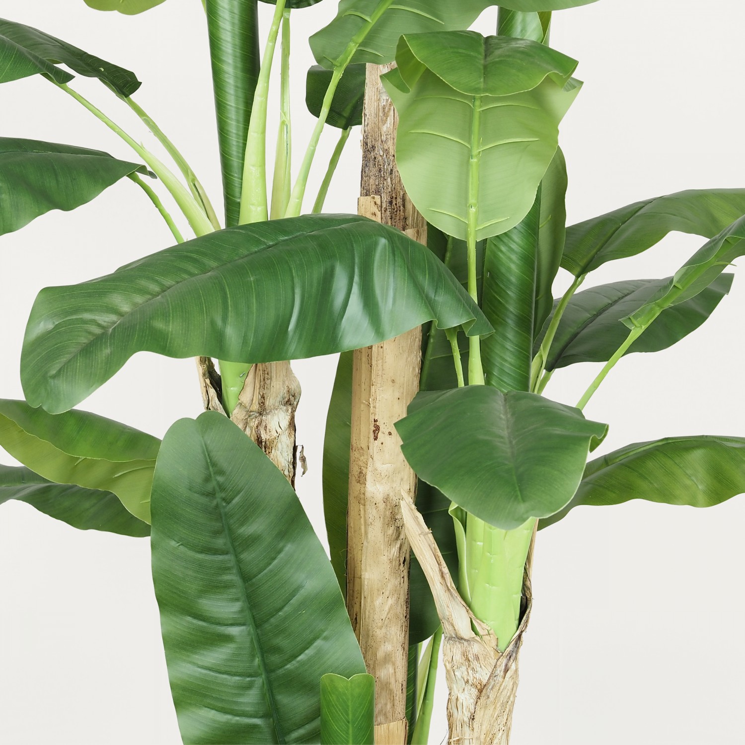 Bananier artificiel 250cm focus zoom feuilles