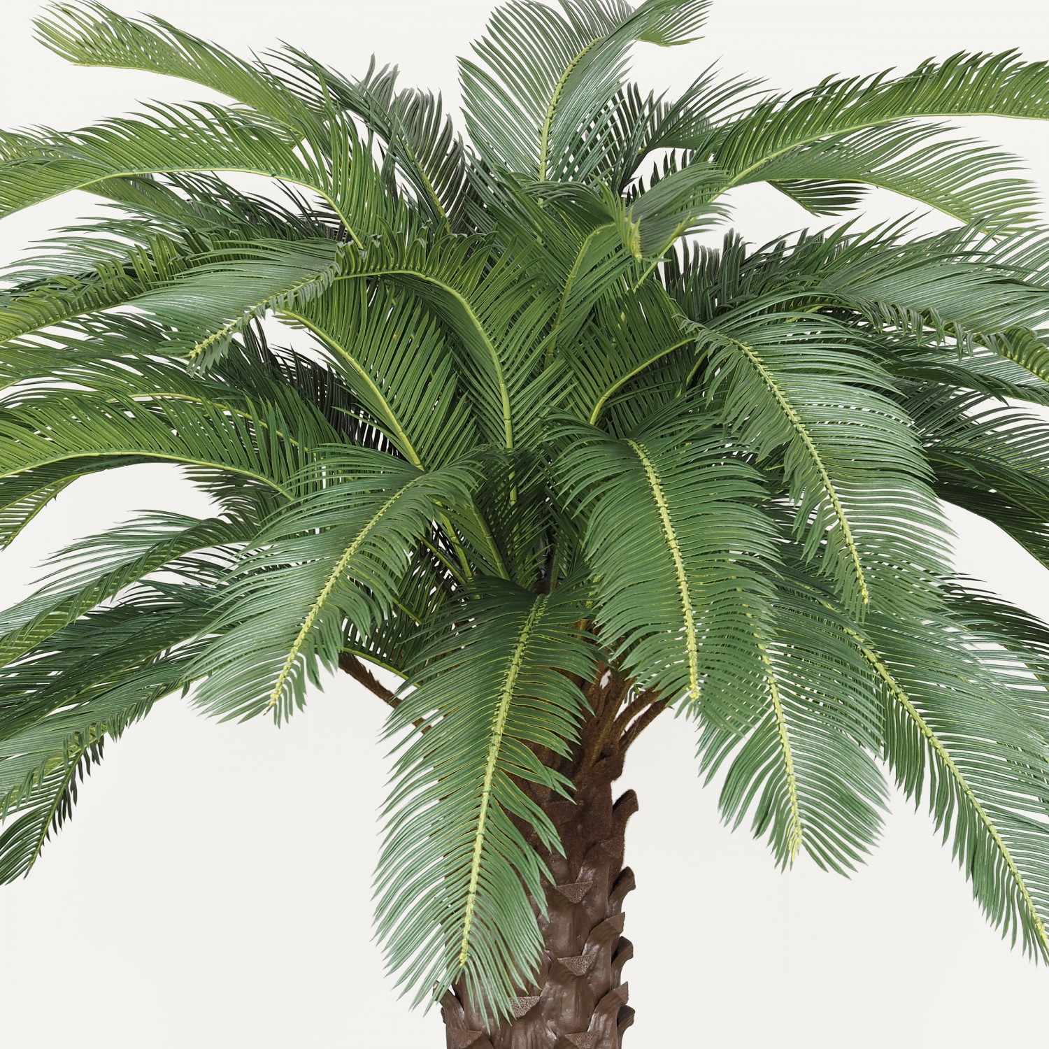 Palmier artificiel cycas 210cm focus zoom palmes